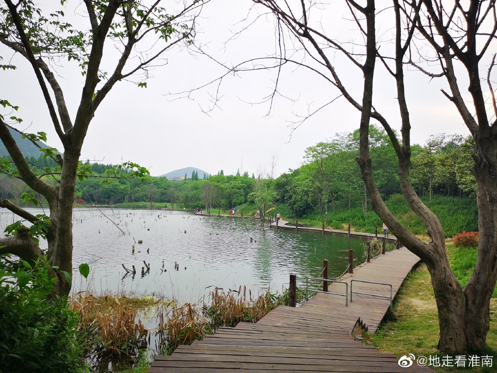 淮南生活  淮南大通区湿地公园,位于淮南市的东南方,坐落于舜耕山麓