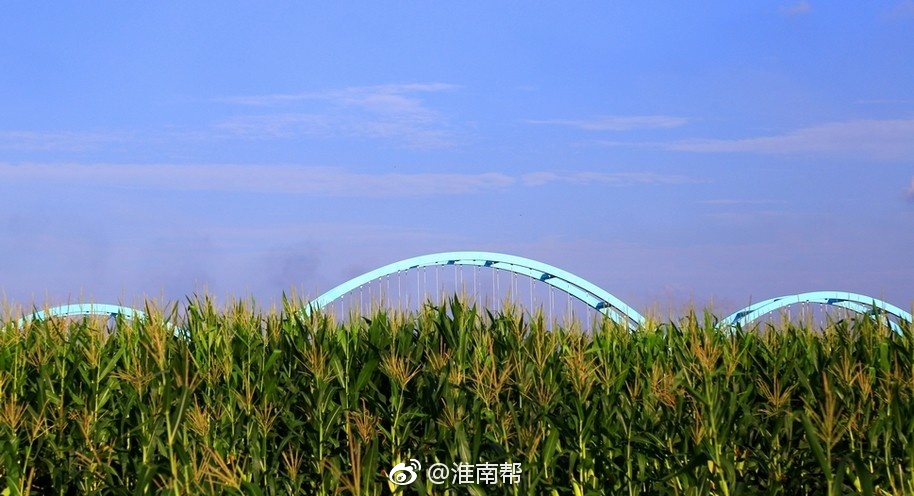 淮南孔李淮河大桥主线建成通车,连接起了淮河两岸的八公山区,凤台县和