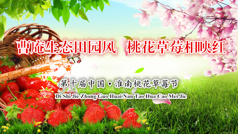 《第十届中国&#8226;淮南桃花草莓节》昵称及形象征集开始啦！