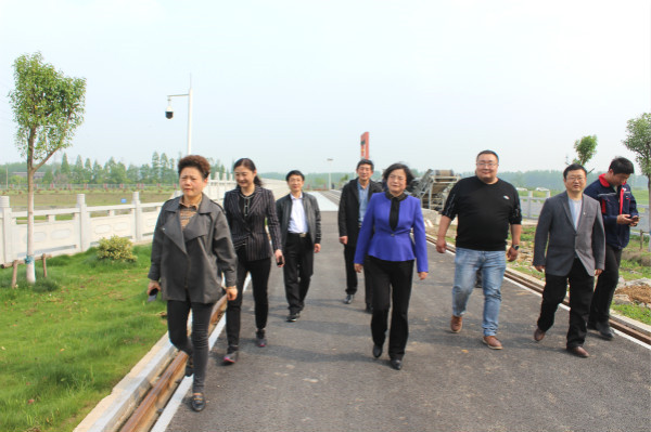 淮南副市长陆晞来凤台督查河长制林长制落实情况
