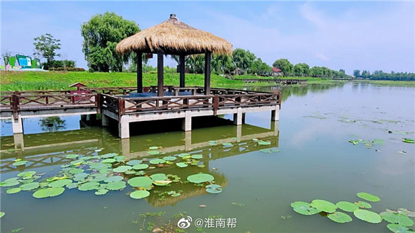 【图说淮南】——初夏雨后的焦岗湖，暖风徐徐！