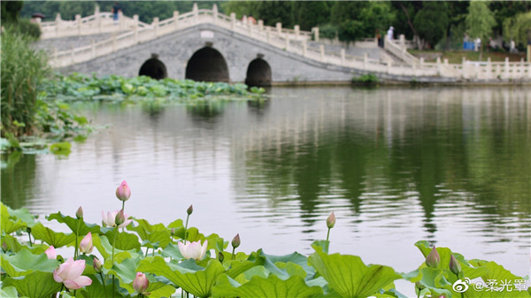 【图说淮南】——雨后清新的龙湖公园