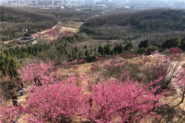 盘点淮南非遗之民间文学篇一：舜耕山传奇