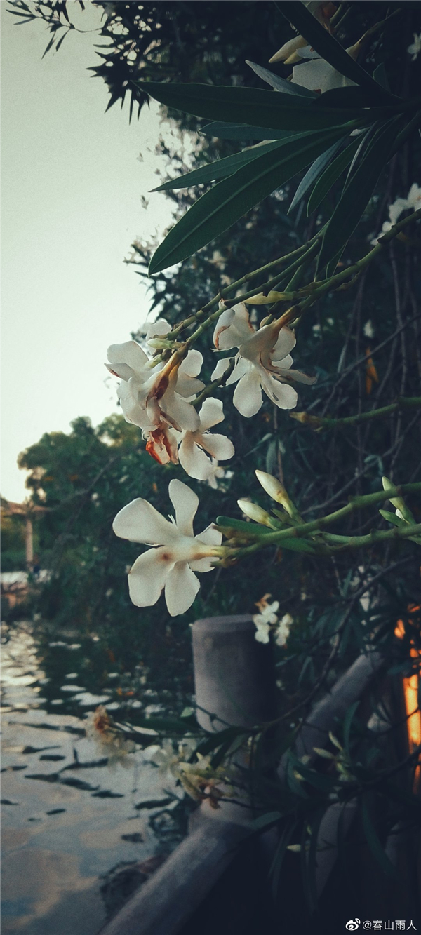 【图说淮南】——夏日的夜晚