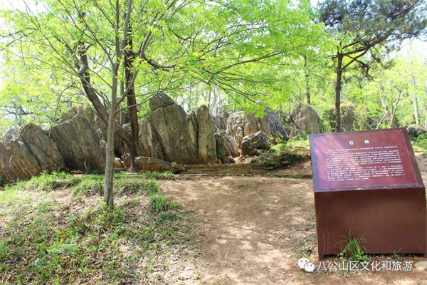 【图说淮南】——八公山石林奇观