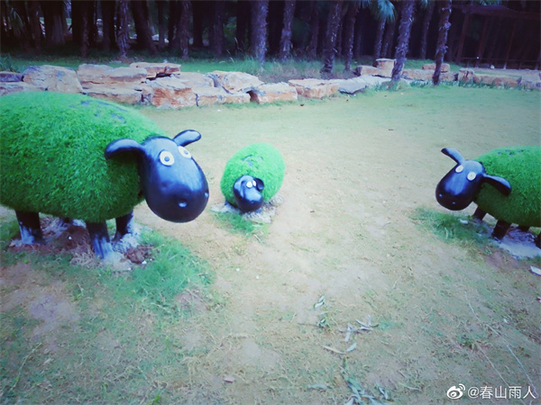 【图说淮南】——龙湖中心最可爱景观