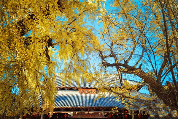 【图说淮南】——寿县报恩禅寺