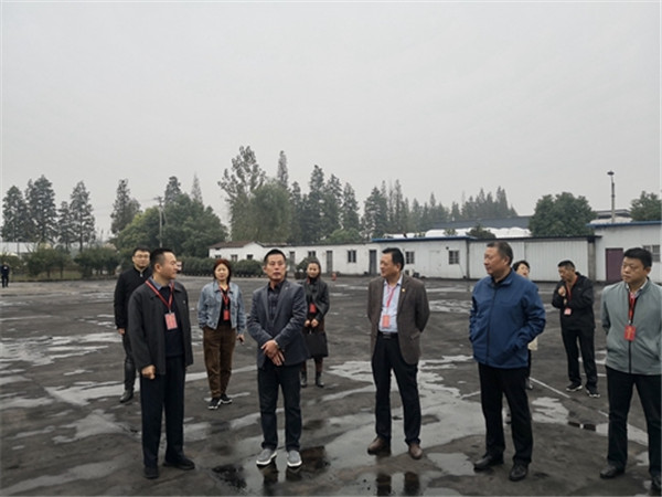淮南市八公山区人大常委会视察全区安全生产工作