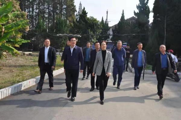 淮南市委副书记汪谦慎一行到淮南卫生学校调研职业教育发展情况