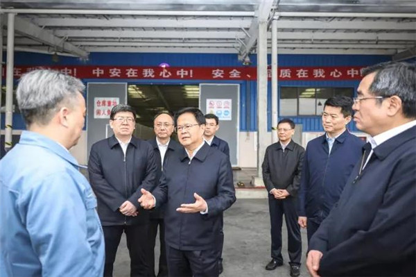 郑栅洁在淮南市调研