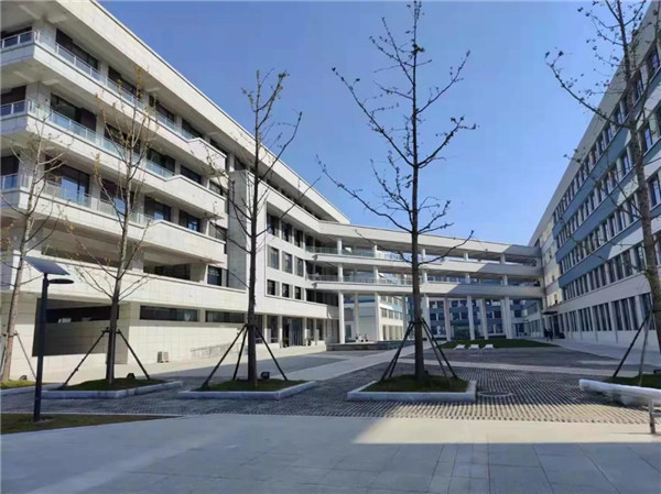 淮南两项工程建成通车！建成投用！
