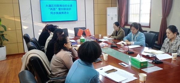 淮南市大通区妇联推动妇女进“两委”暨妇联组织同步换届推进会
