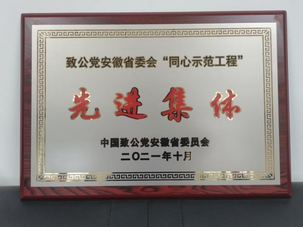 喜报！致公党淮南市委会“同心示范工程”工作获致公党省委会表彰