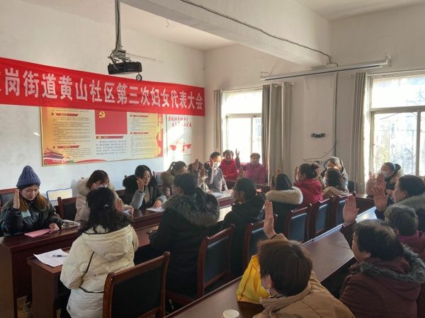淮南市八公山区毕家岗街道率先完成社区妇联换届工作