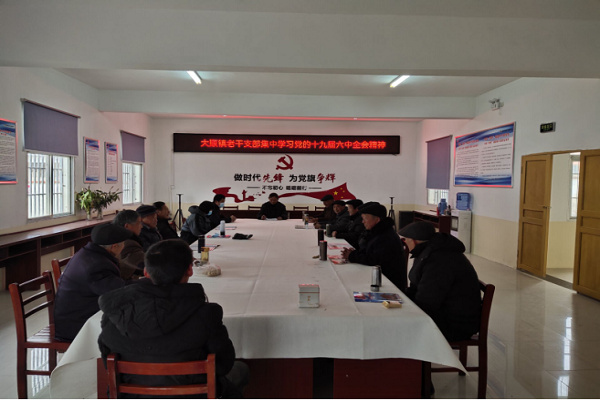 淮南市寿县：大顺镇老干部集中学习党的十九届六中全会精神
