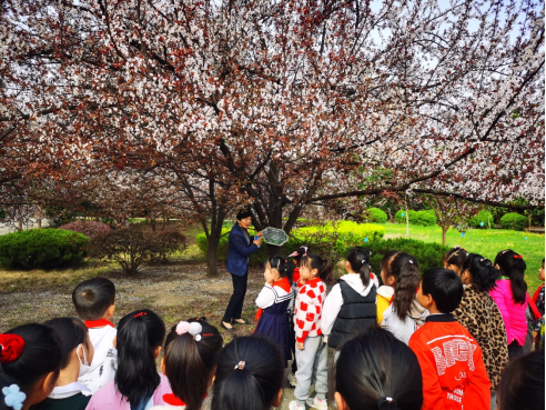 淮南师范附属小学十九中校区开展校园寻春活动