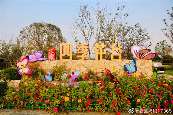 【图说淮南】——人民公园秋季的色彩