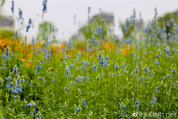 【图说淮南】——休闲好去处