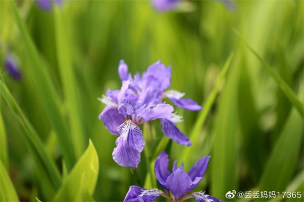 【图说淮南】——夏日小清新