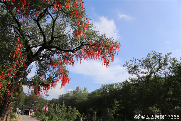 【图说淮南】——秋色初现