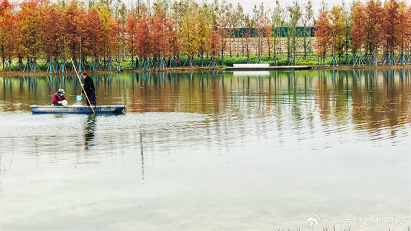 【图说淮南】——春申湖之美