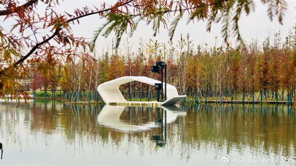 【图说淮南】——春申湖冬景  ​​​