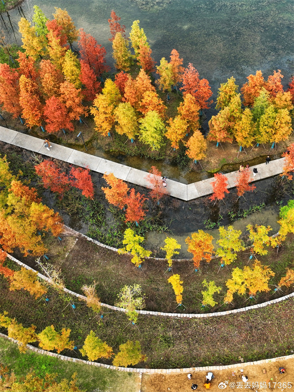 【图说淮南】——秋色未尽