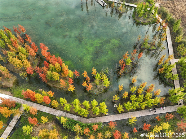 【图说淮南】——色彩斑澜  ​​​