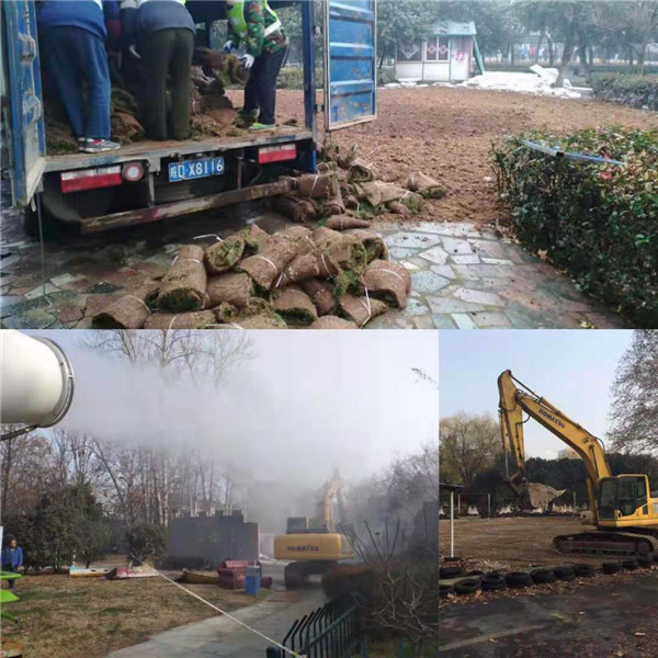 大龙公司开展淮南龙湖公园拆旧复绿工作