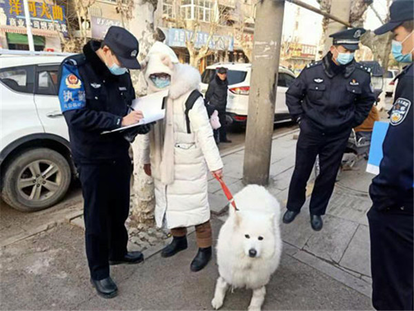 淮南凤台：公安城管联合行动 整治不文明养犬行为