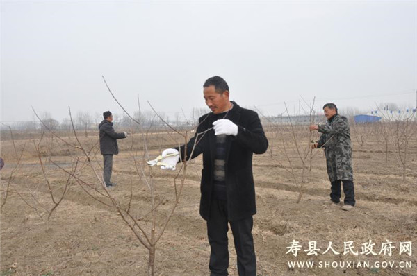 淮南寿县：加强新型农业经营主体建设促进农民增收