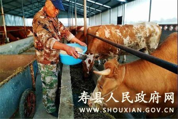 淮南寿县：构建现代养殖体系 推动畜牧业高质量发展