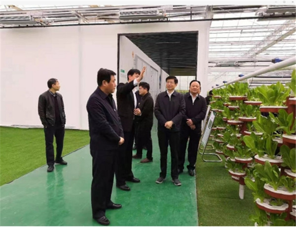 淮南：徐礼国调研农业农村工作