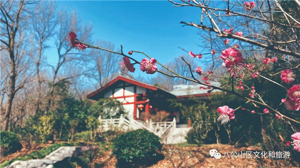 八公山青琅轩馆梅园