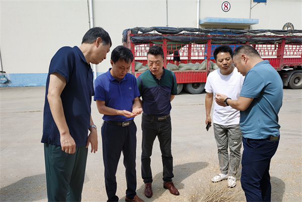淮南市许林副局长调研指导市级储备小麦轮入工作