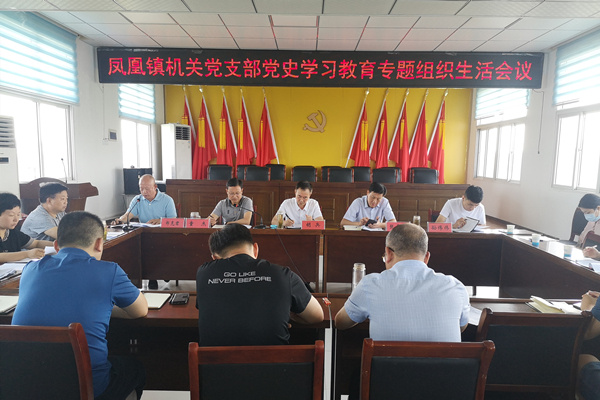 淮南市凤台县凤凰镇党委：严把“四道关” 开好党史学习教育专题组织生活会