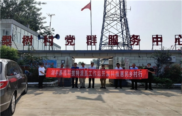 淮南市寿县科技特派员助力乡村振兴