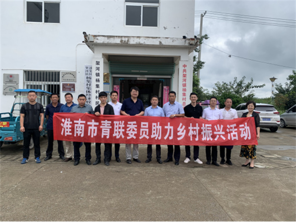 淮南市青联开展学习习近平总书记“七一”重要讲话精神，助力乡村振兴交流活动