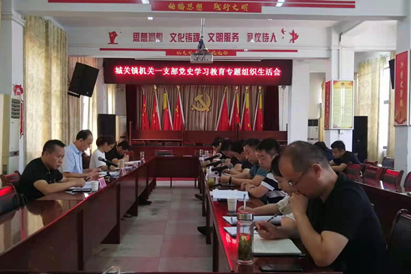 淮南市凤台县城关镇党委：“五度工作法” 开好专题组织生活会