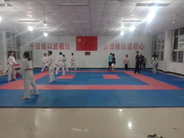 淮南市：全运会空手道亚军支招我校空手道队