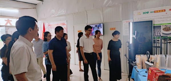 淮南市大通区政协视察区妇女儿童工作