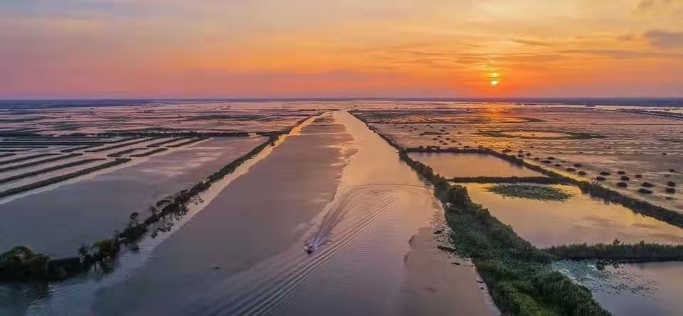 【图说淮南】——在淮南邂逅浪漫风情之地，首选这个地方！