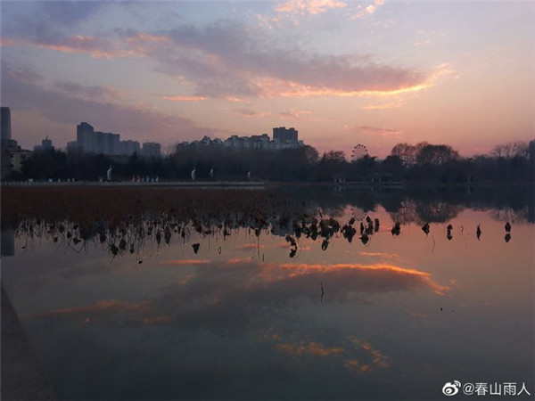 【图说淮南】—— 龙湖公园粉色天空