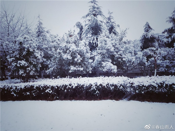 【图说淮南】——2022年淮南第一场雪！来的迟吗？