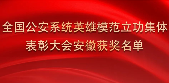 淮南上榜！全国表彰！