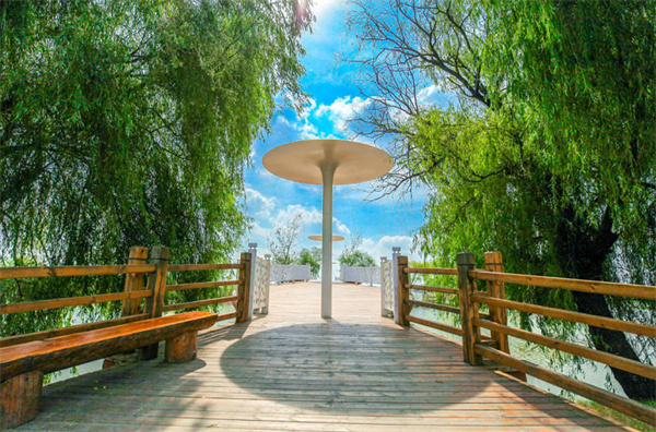 高考结束，赏花季节来临！焦岗湖旅游度假区免费送门票