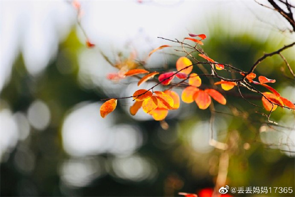 【图说淮南】——  阳光正好