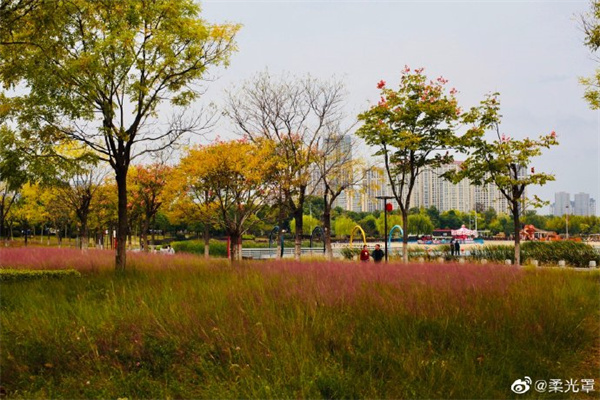 图说淮南——人民公园秋景