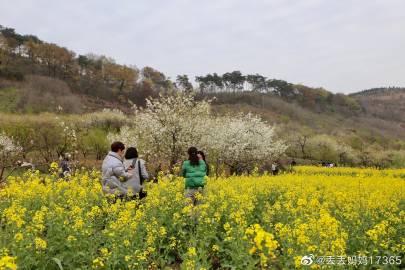 【图说淮南】——拥抱春天