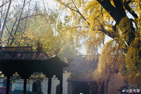 【图说淮南】——冬日暖阳